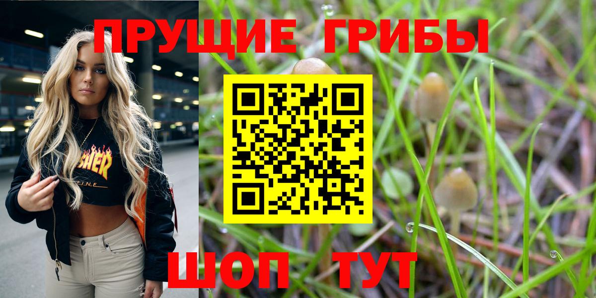 Псилоцибиновые грибы MAGIC MUSHROOMS Россошь