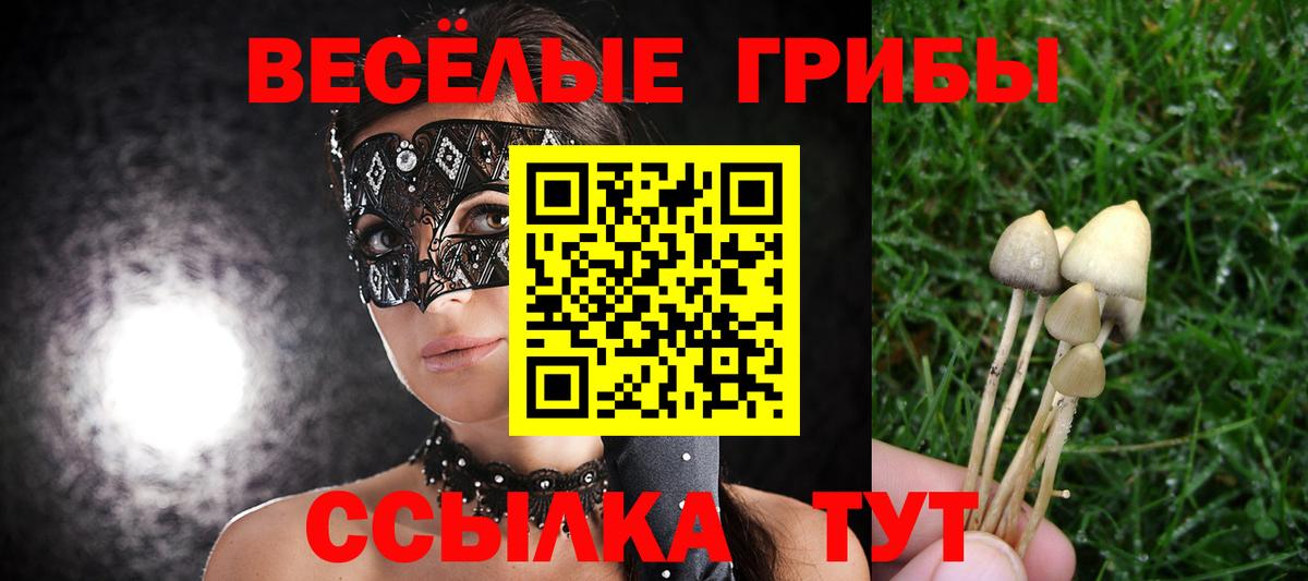 Псилоцибиновые грибы прущие грибы  Вход с VPN  купить наркотик  Россошь 
